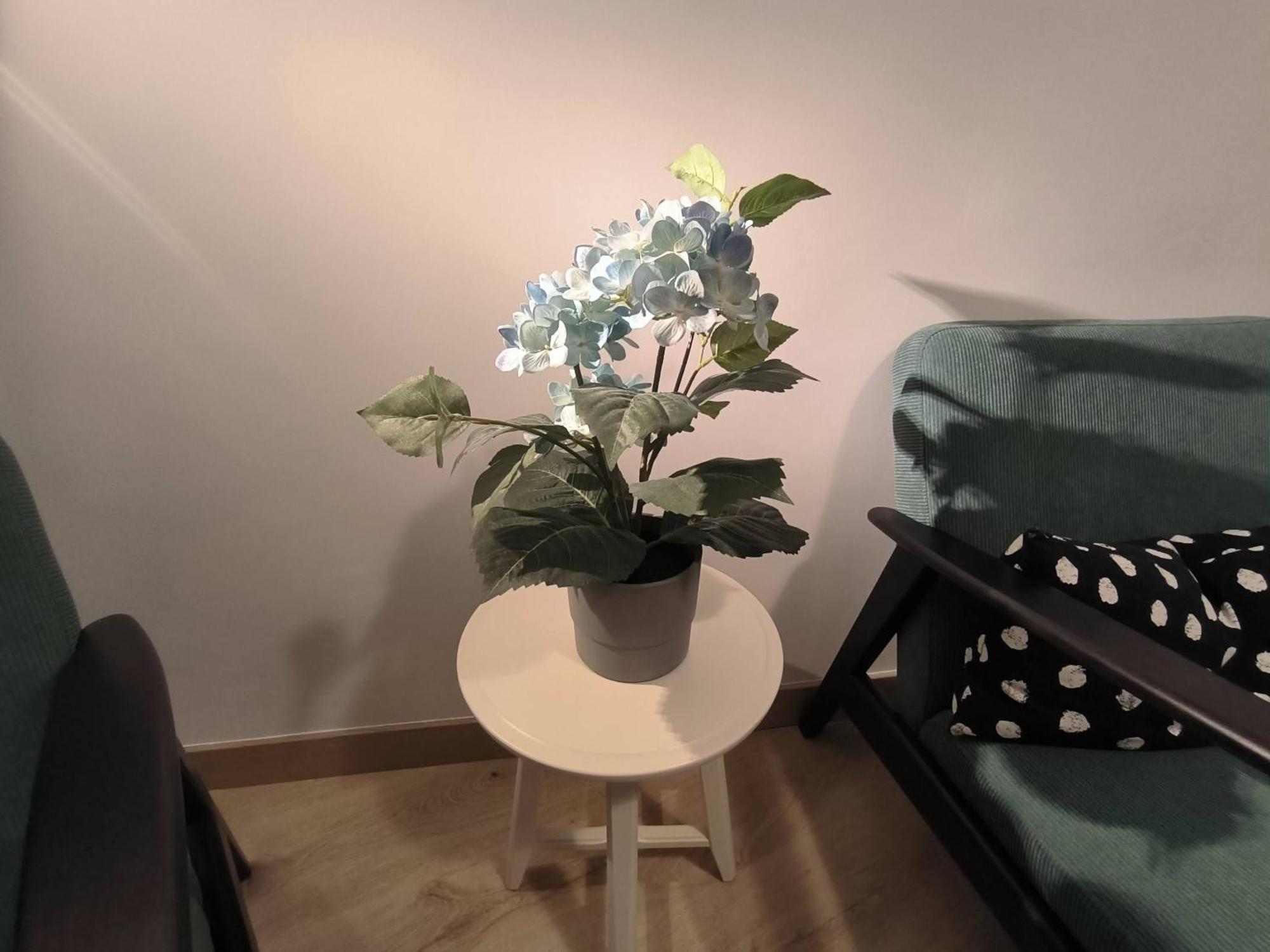 Apartamento Zabala Conoce Bilbao Desde Dentro Екстериор снимка